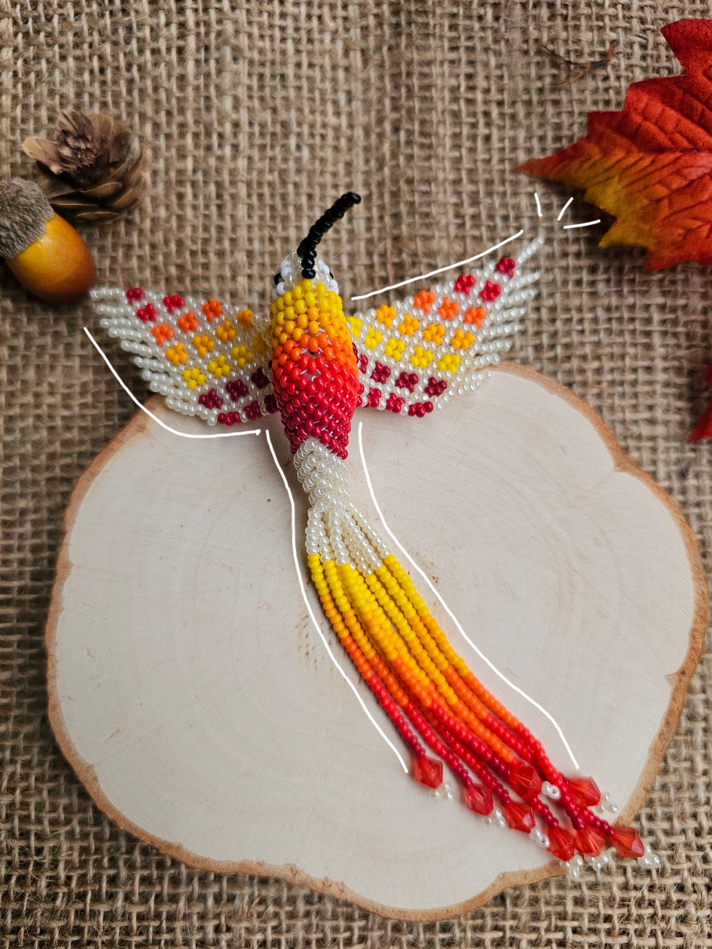 ✨🍁 ✨Little humming bird🍂✨