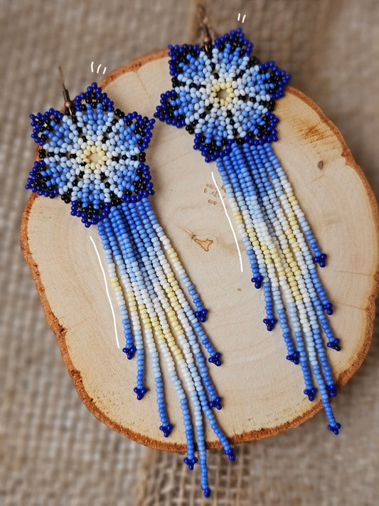 💠✨WINTER SPRING BEADED EARRINGS ✨💙 - Awaska