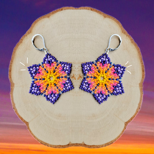 ✨N E W✨ 🌸SUNSET FLOWERS 🌄 Beading Earrings