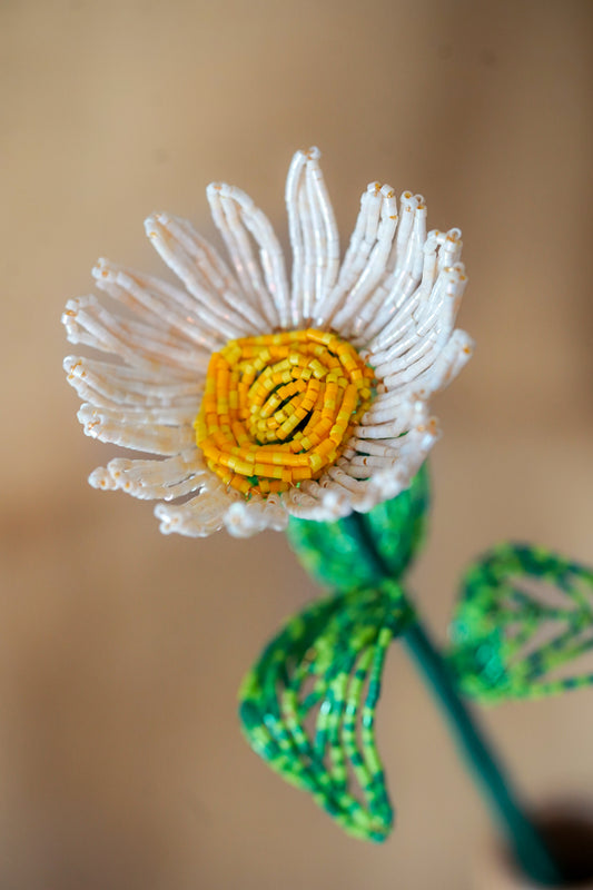 NEW ✨ LA FLEURISTERIE 🤍 DAISY 🌸 3D Beaded Flower for Vase